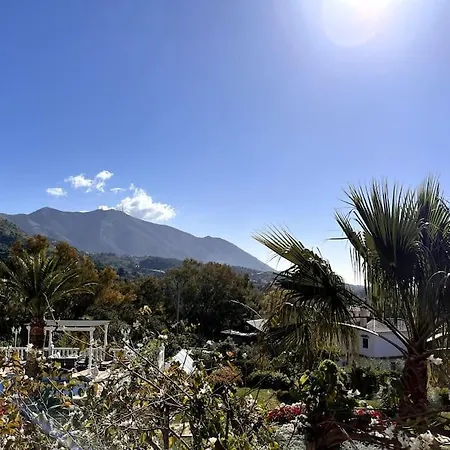 Puerto De La Luz וילה מיחאס