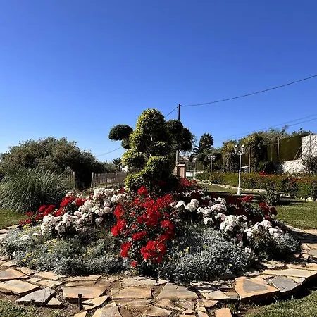 Puerto De La Luz فيلة *