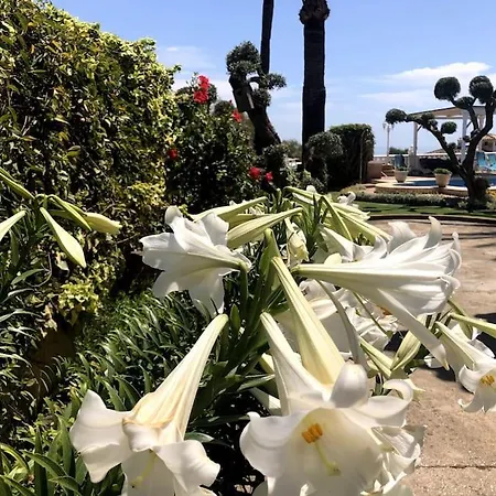 Puerto De La Luz فيلة ميخاس